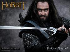Thorin Oakenshield Thorin Oakenshield
